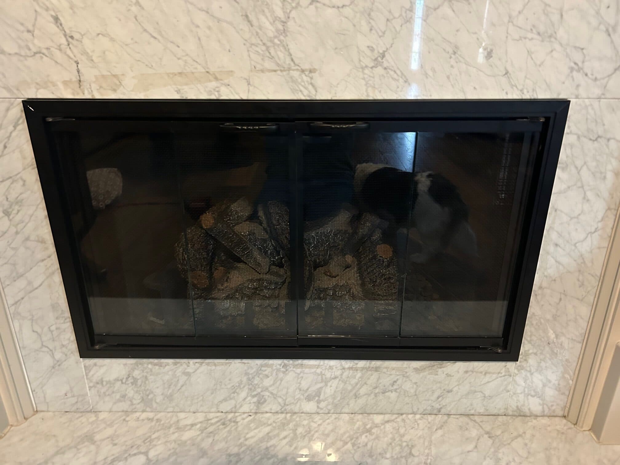 Did You Know? You Can Customize Glass Doors for Your Fireplace
